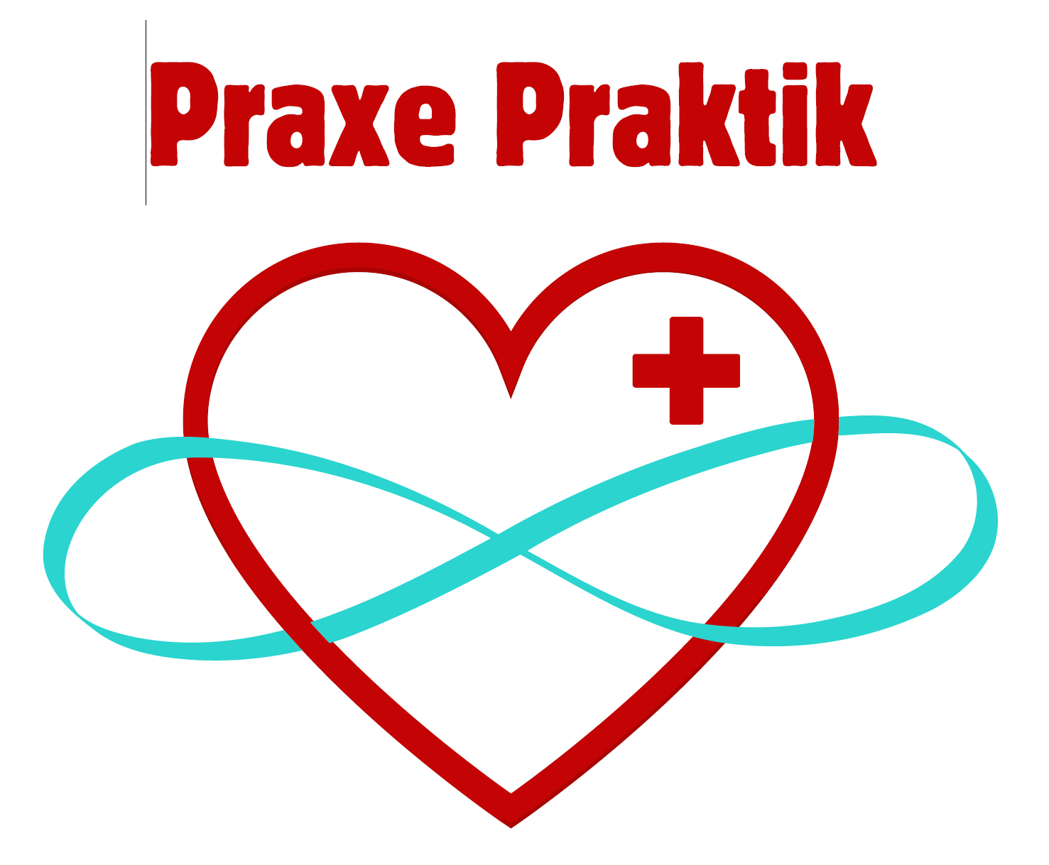 Praxe Praktik
